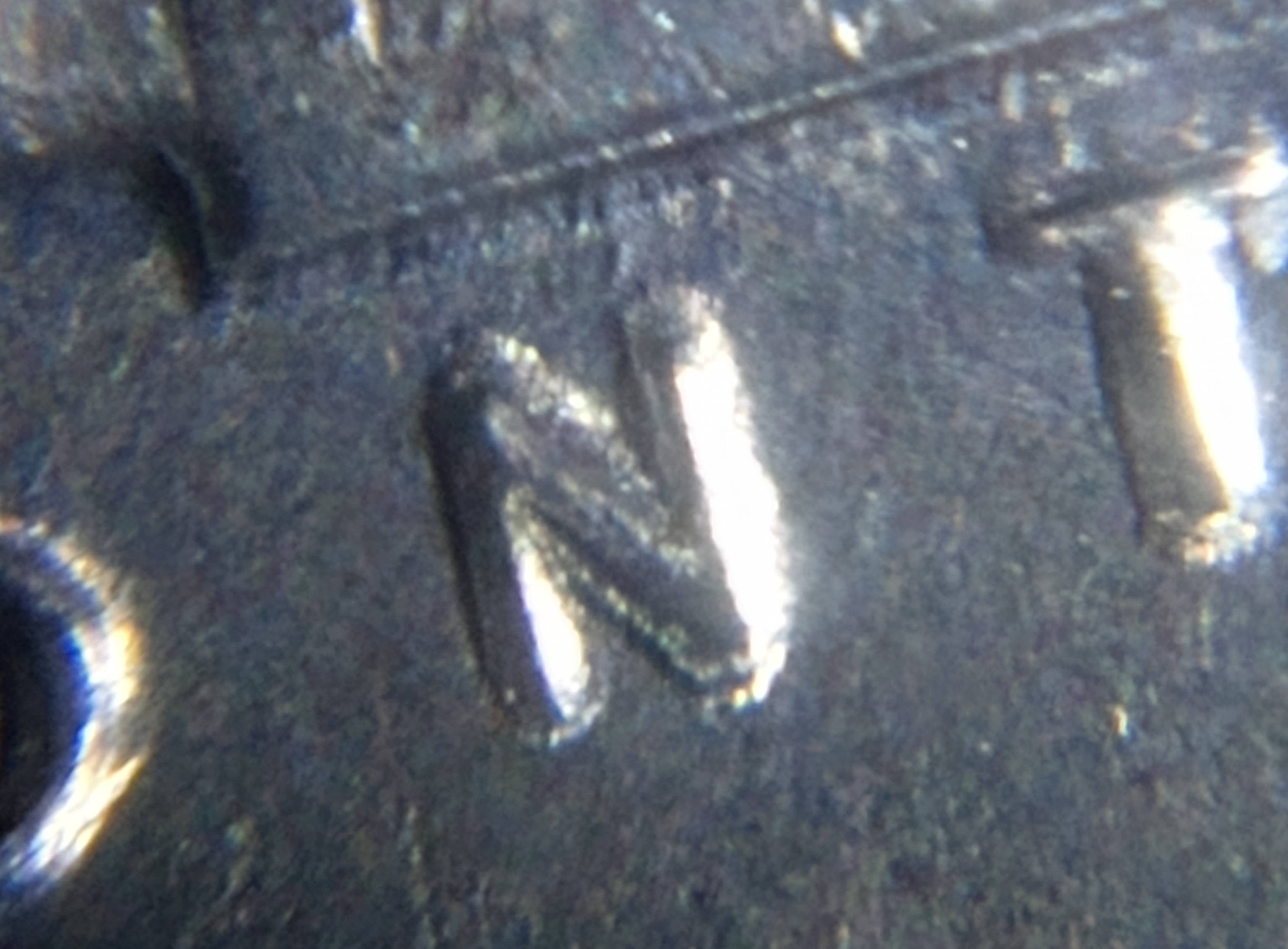 1960-P-Nickel--Maybe-Some-Doubling