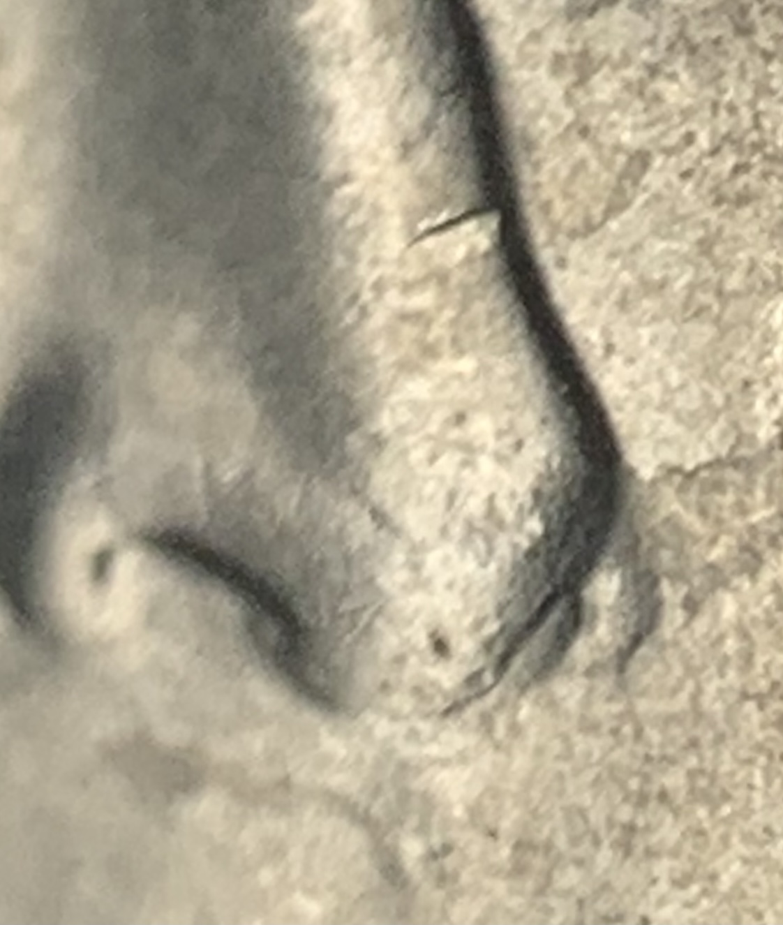 2020-P-Jefferson-Nickel-Possible-New-Discovery-DDO?