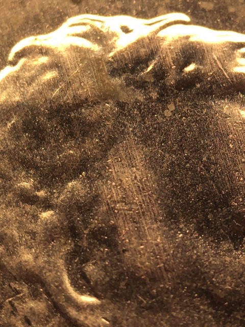 2021-Shield-DDO,-Another-One.,-These-Things-Seem-To-Be-Running-Rampant