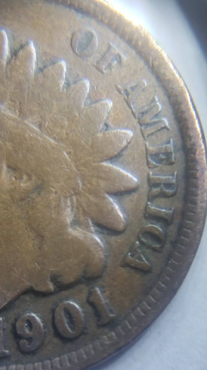 1901-Indian-Head-Wooohooo-Found-It-In-Last-Roll