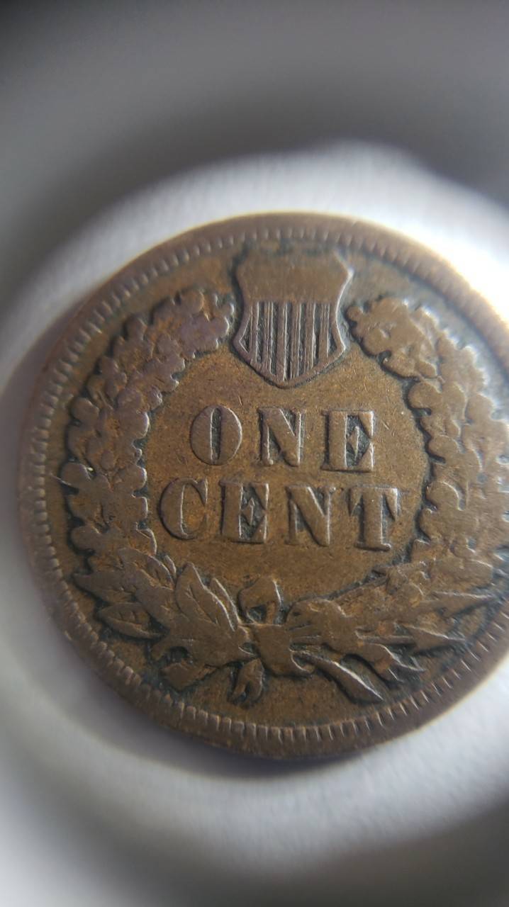 1901-Indian-Head-Wooohooo-Found-It-In-Last-Roll
