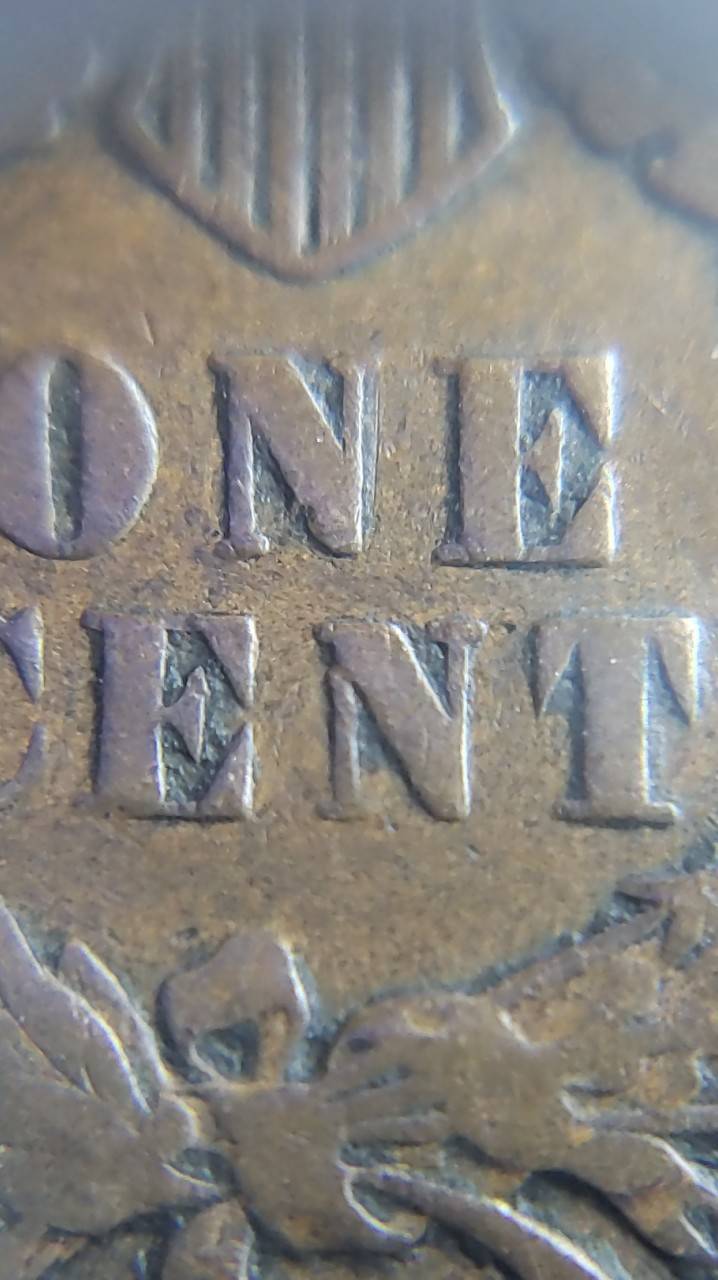 1901-Indian-Head-Wooohooo-Found-It-In-Last-Roll
