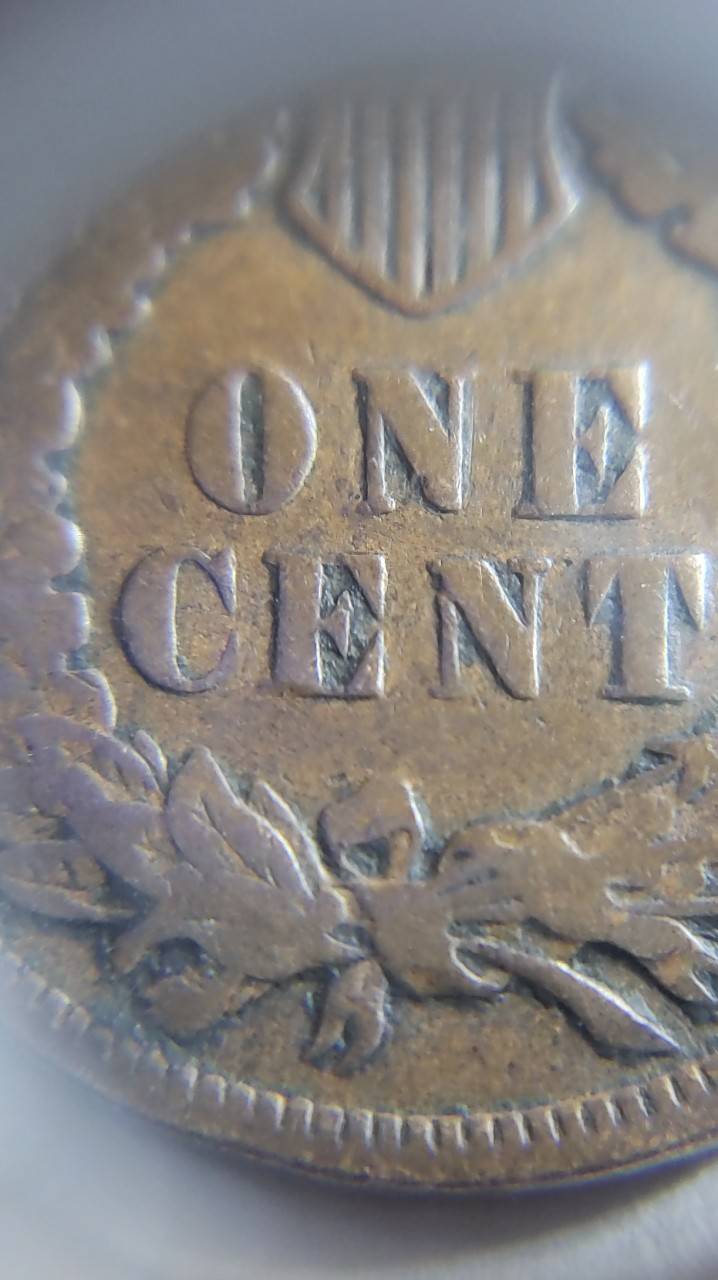 1901-Indian-Head-Wooohooo-Found-It-In-Last-Roll