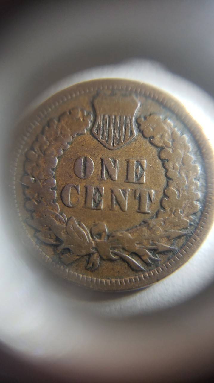 1901-Indian-Head-Wooohooo-Found-It-In-Last-Roll