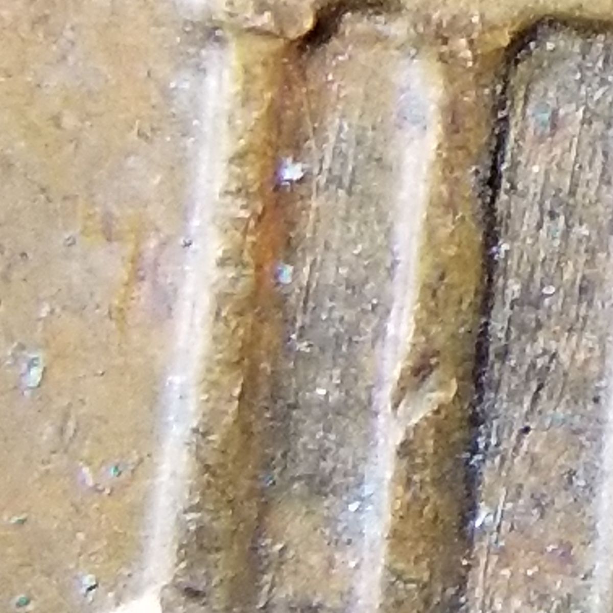 1979-Philly-Penny.-Any-Idea-What-This-Is?