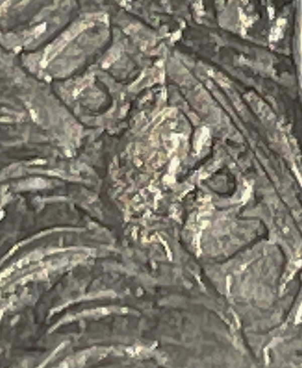 1878-S-Morgan:-Damage,-VAM---Or-Maybe-Both?