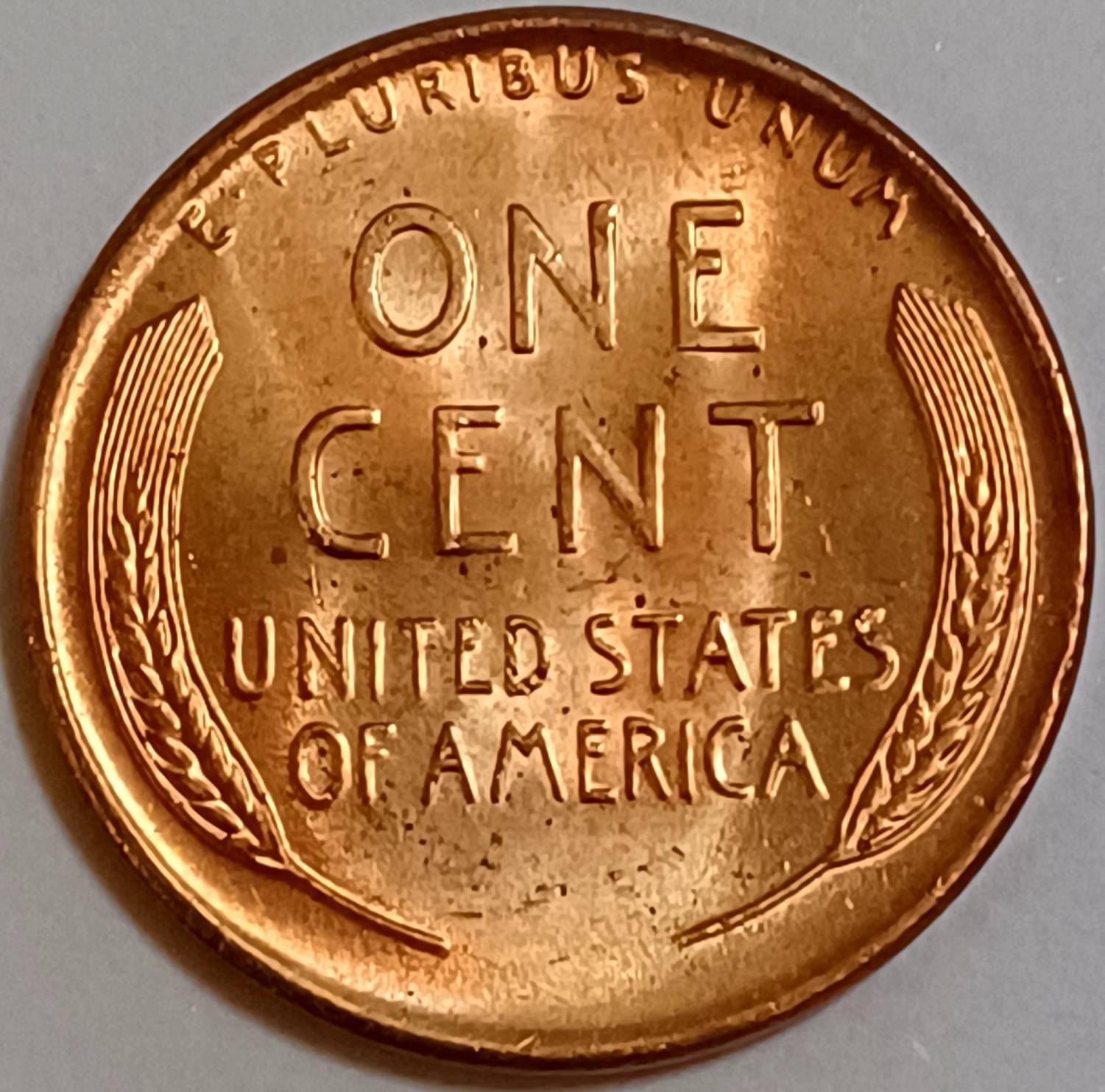 1955-Wheat-Cent,-Possible-Die-Clash?