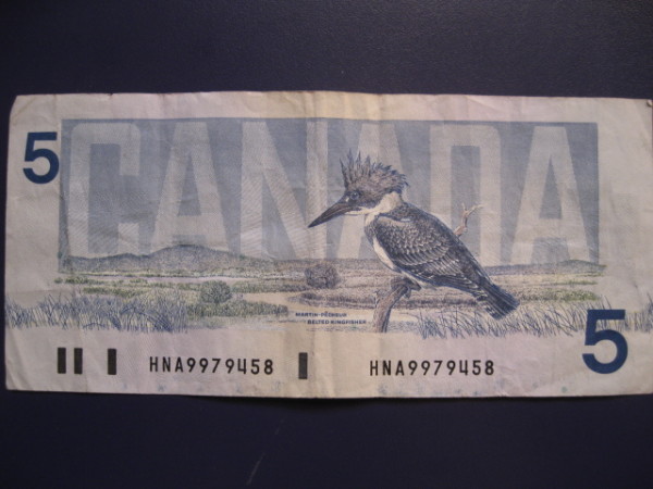 Uncommon-$5-From-The-Bird-Series?