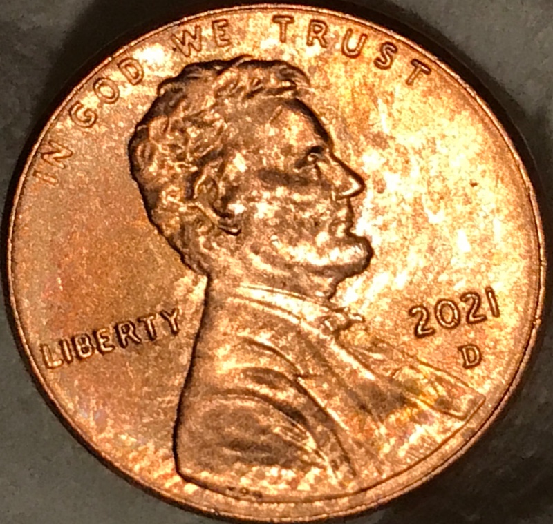 2021-Penny-Better-Pics-But-I-Did-Find-This-One-Finger-Feeder-Or-Die?don't-Believe-Roller