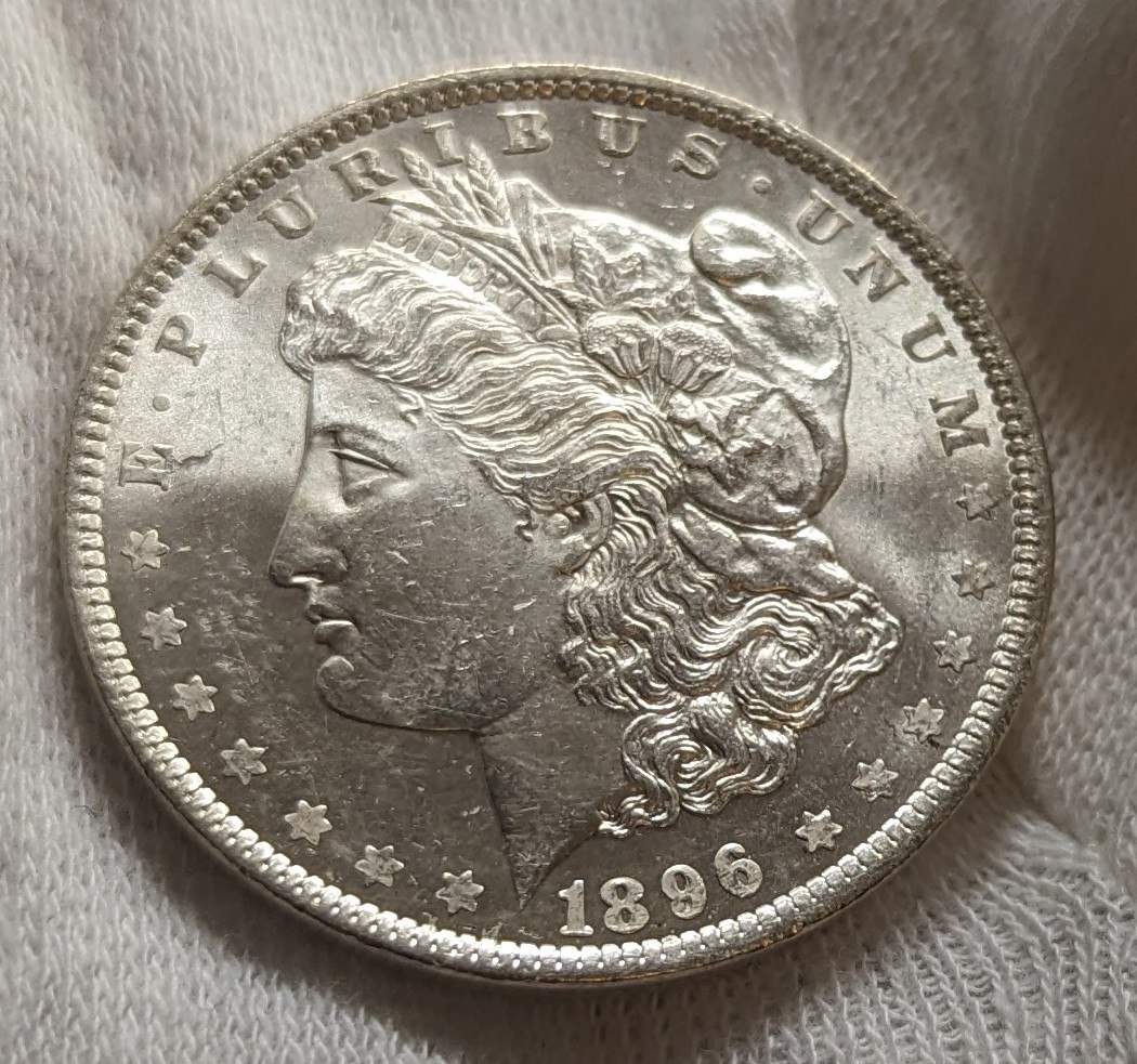 Natural-Or-Artificially-Toned-Morgan-Dollar?