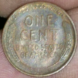 1909-VDB-Cent-Pocket-Change-Find