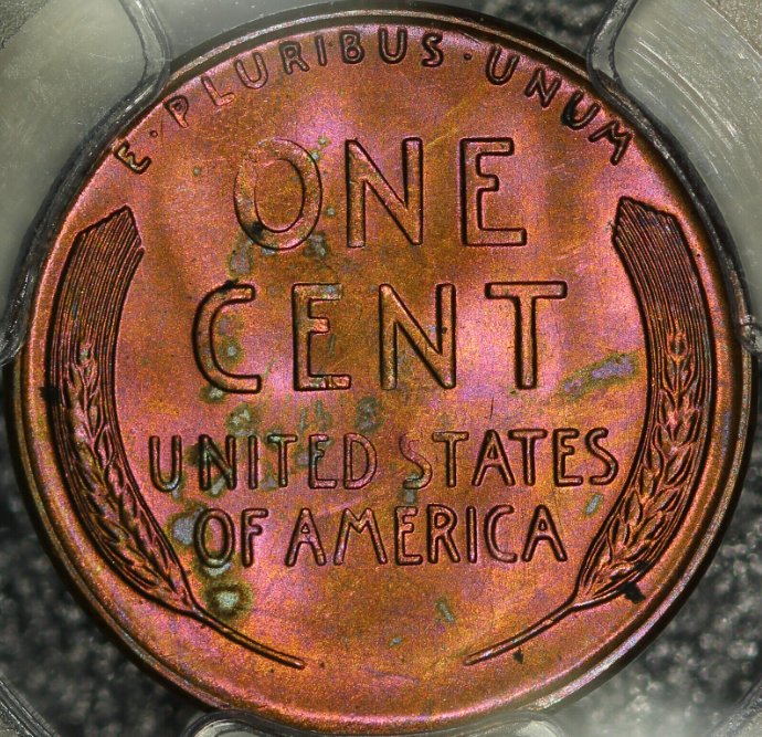 PCGS-Vs-You---1954-S-Toned-LWC