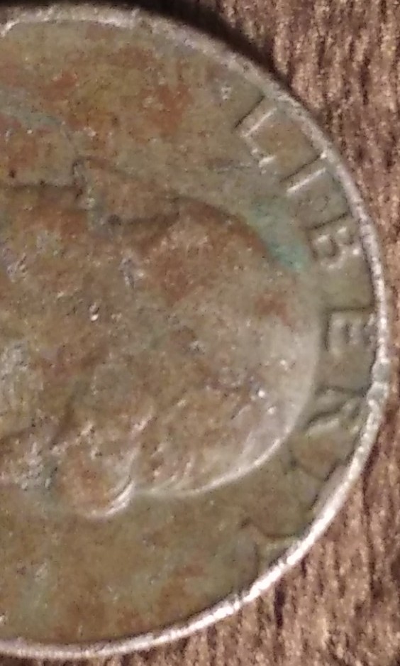 1981-P-Quarter-Clad-Erro
