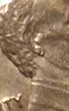 1985-LMC-/-Double-Ear?
