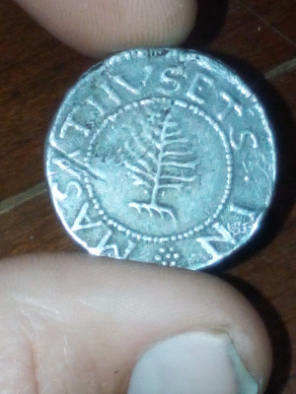 1652-Pine-Tree-Schilling-And-Benzentine-Coin-Need-Help-Identifying-And-F-Genuine
