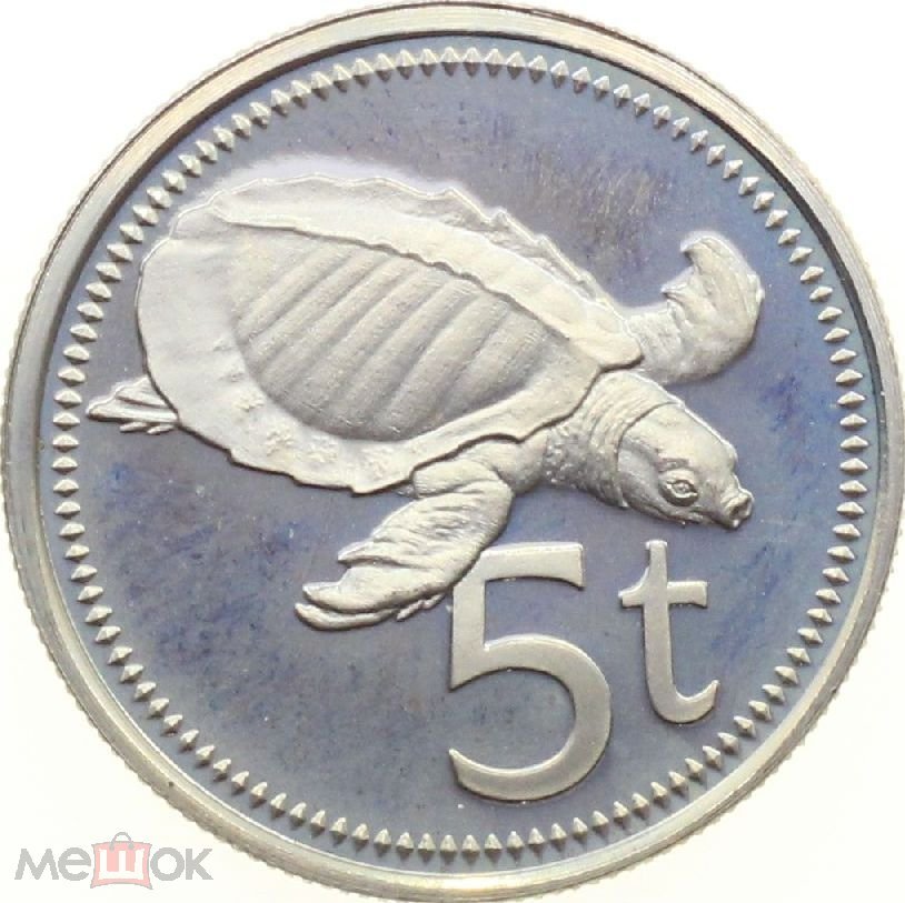 New-Coin-Purchases,-Slerk