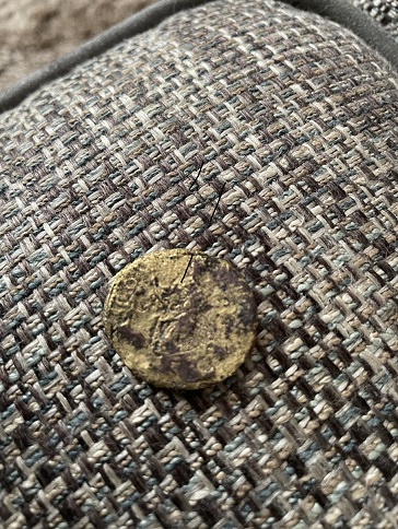 Is-This-Roman-And-Is-It-Gold