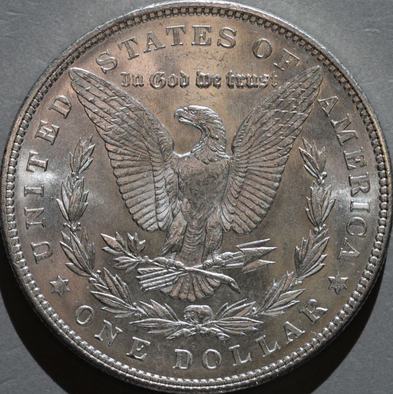 1903-Morgan-Up-For-Grading