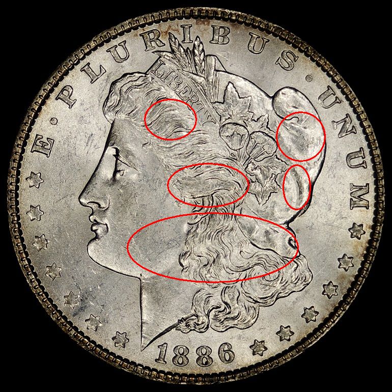 1886-Morgan-Dollar---Grading-Opinions-Please