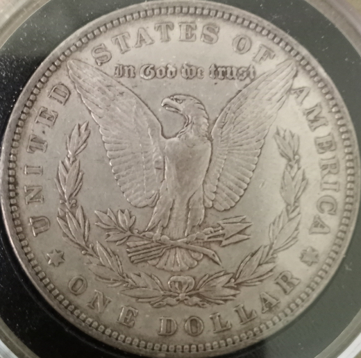 I-Picked-Up-My-First-19th-Century-Morgan-Dollar!
