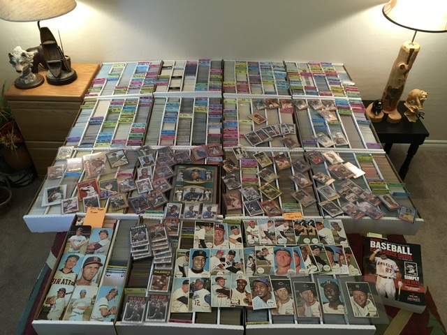 How-Do-You-Organize-Your-Collection?-A-Beginning-Collector-Question