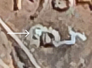 1984-D-Over-S-Penny?