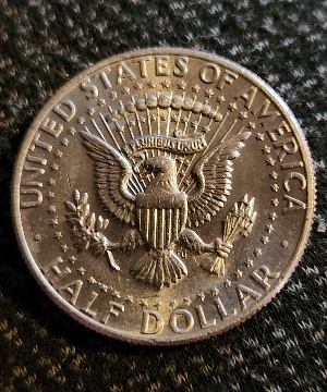 1979-D-Kennedy-Half-Dollar-Grade-Please