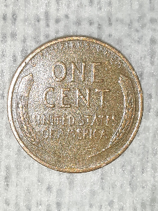 Wheat-Penny,-No-Date,-Or-Mint-Mark.
