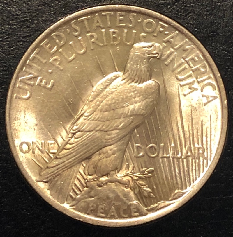 Type-Set-Album-Progress-Whitman-20th-+-21-St-Century