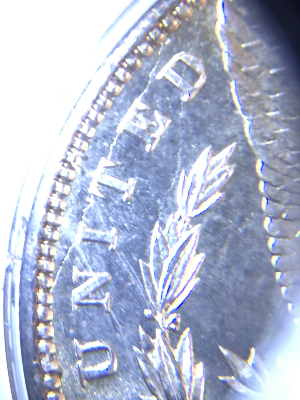 1898-Morgan-Dollar-VAM-Insight