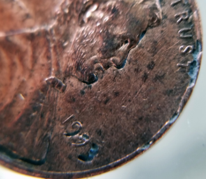 1993-LMC.-Is-This-Just-Rotting-Or-Is-It-Something-Unusual?