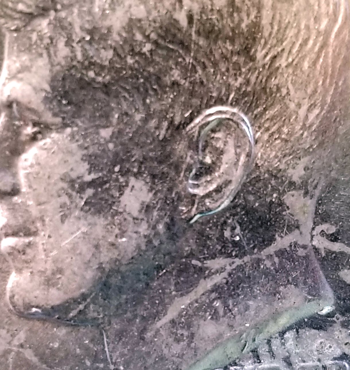 1993-Kennedy-Half-Dollar-Doubled-Ear