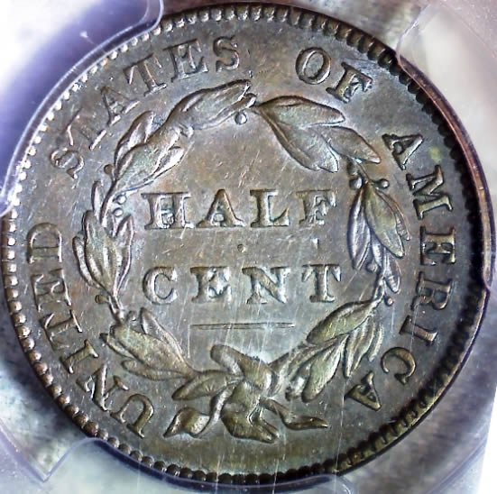 Yet-Another-Forum-Game---Numismatic-Go-Fish!