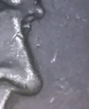 2005-Nickel-Need-Help-Is-That-An-Error-On-His-Nose-And-Is-There-An-S-On-Top