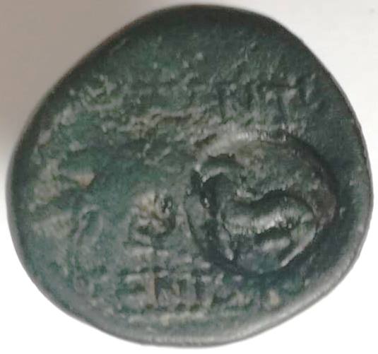 Greek-Coin-Id:-I-Guess-Medium-Level-Of-Difficulty