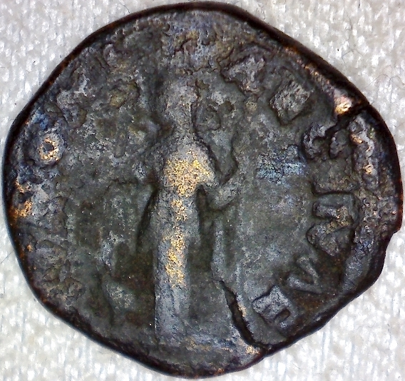 A-Compendium-Of-Numismatic-Displays-In-Museums-Around-The-World-Evergreen