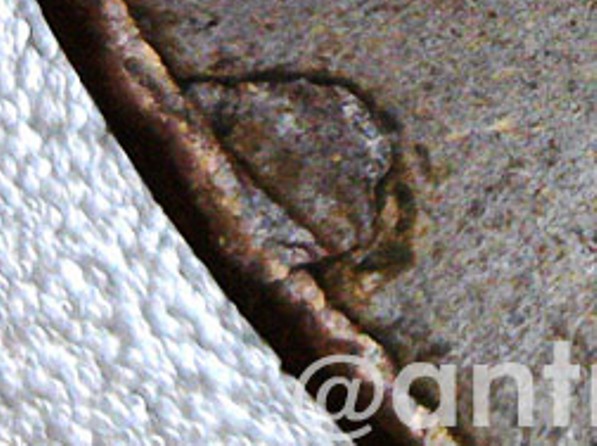 1947-S---Lincoln-Wheat-Cent-With-Possible-Lamination?