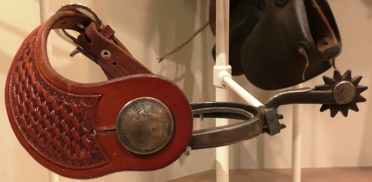 A-Compendium-Of-Numismatic-Displays-In-Museums-Around-The-World-Evergreen