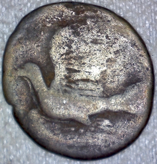 A-Compendium-Of-Numismatic-Displays-In-Museums-Around-The-World-Evergreen