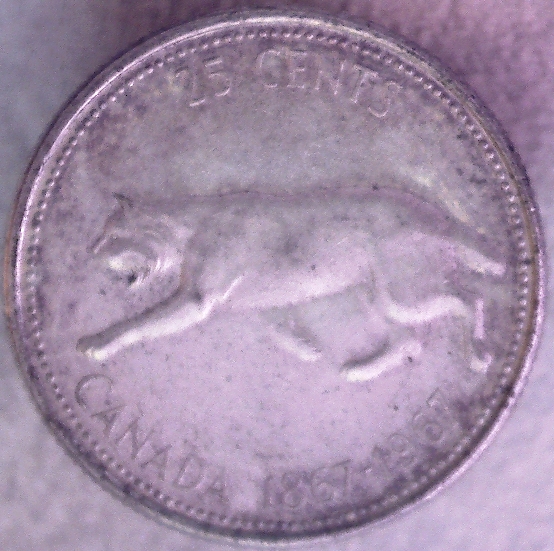 Yet-Another-Forum-Game---Numismatic-Go-Fish!
