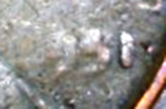 19?1--LMC-Struck-Through-Grease-Error?
