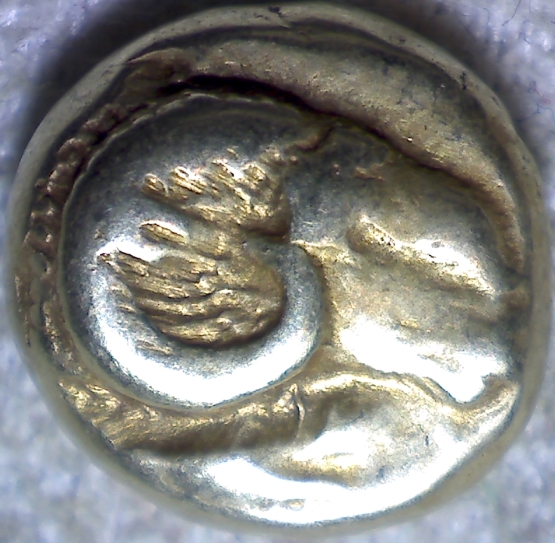 Yet-Another-Forum-Game---Numismatic-Go-Fish!