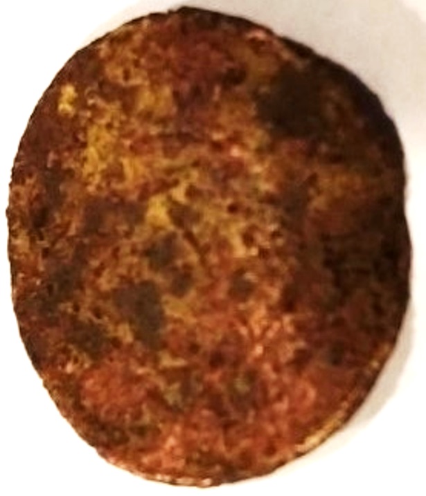 What-On-Earth-Have-I-Found?