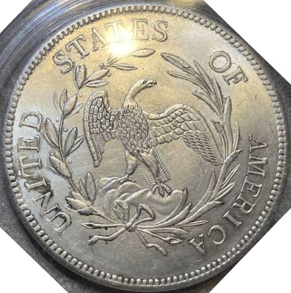 Another-Shady-1796-Dollar
