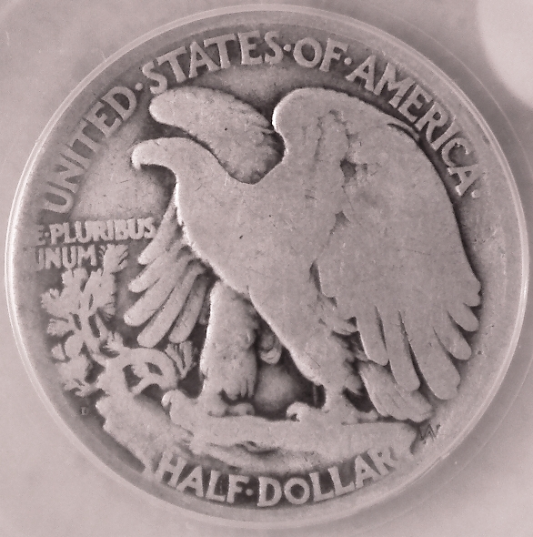 Coins-In-Art-V2.0;-Evergreen