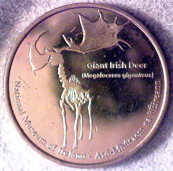National-Museum-Of-Ireland-Tourist-Token