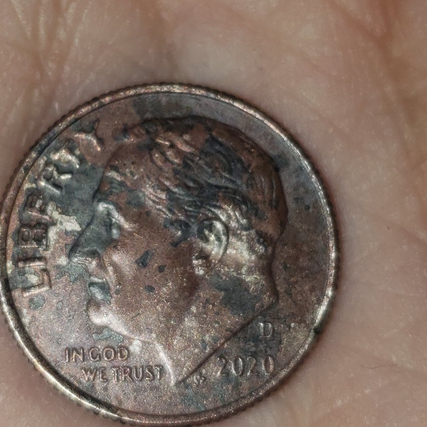 2020-D-Dime-Possible-Error