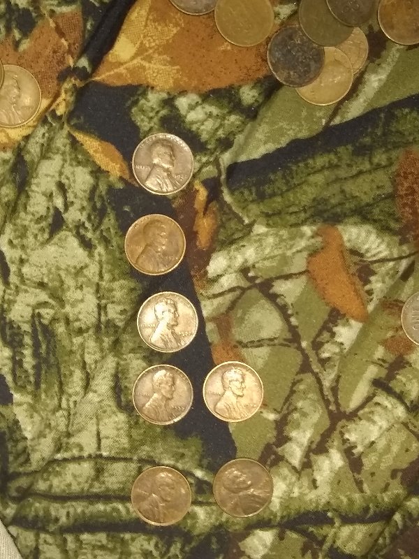 Need-Help-With-Selling-Wheat-Pennies.