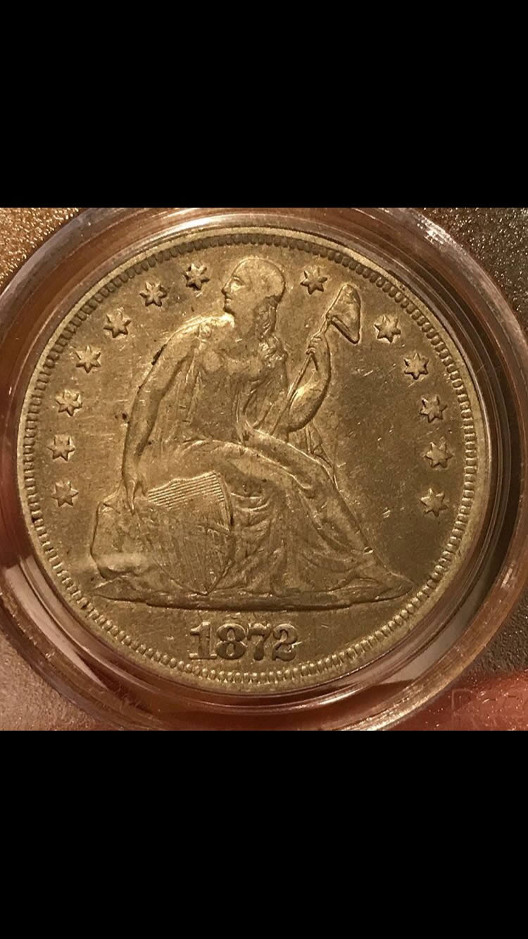 Seated-$1-Coin-Grade-Opinions-You-Vs-TPG