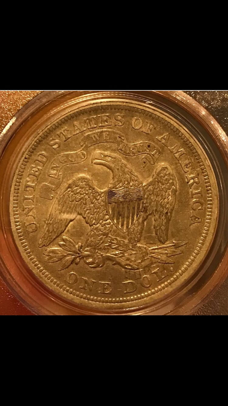 Seated-$1-Coin-Grade-Opinions-You-Vs-TPG